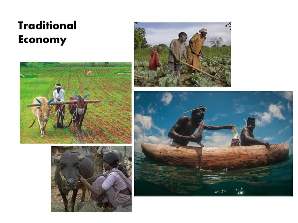 ¿Qué es una economía tradicional?