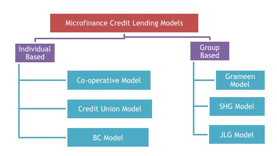Loan From Microfinance Bank - division diagram