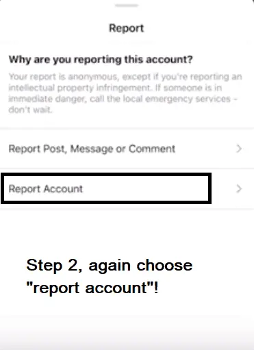 report account step 2