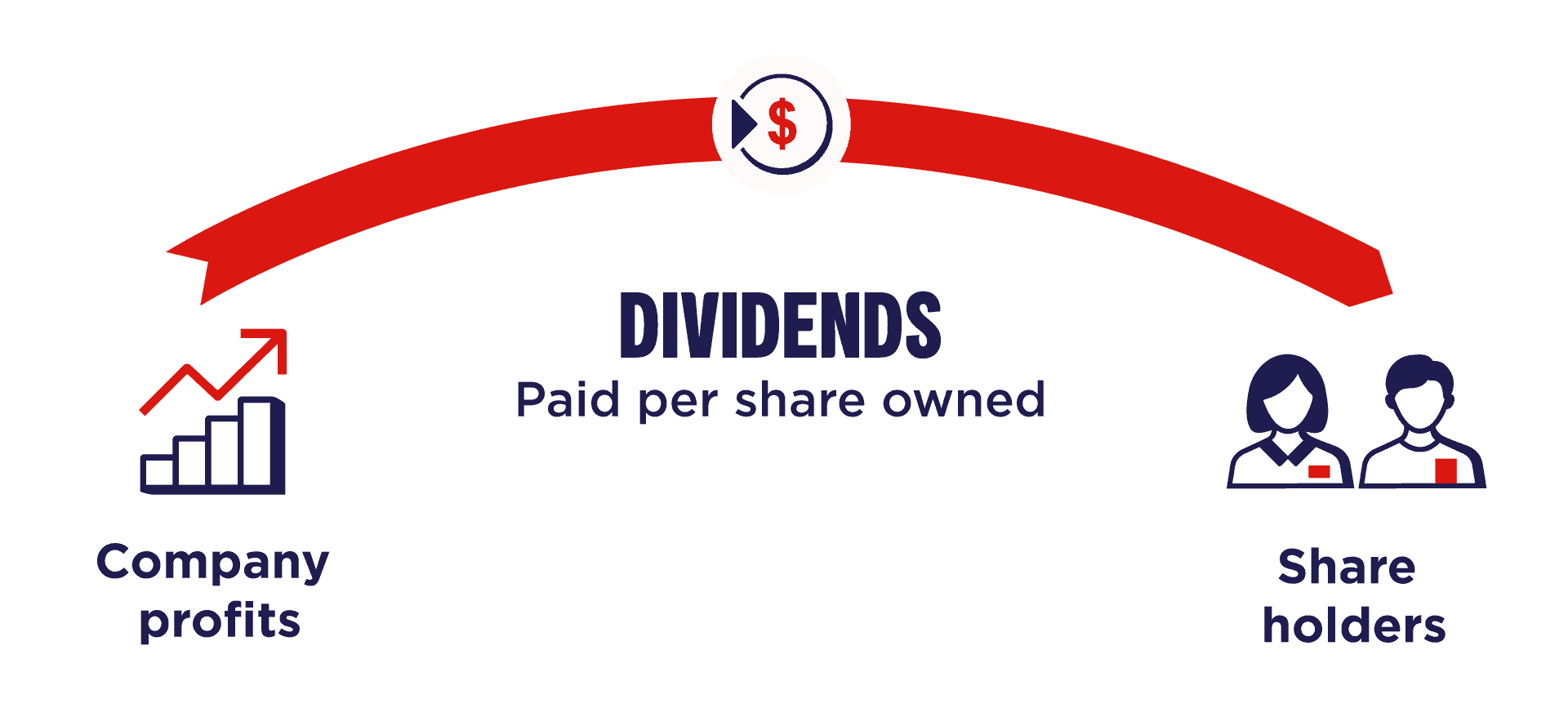 dividends and share holders